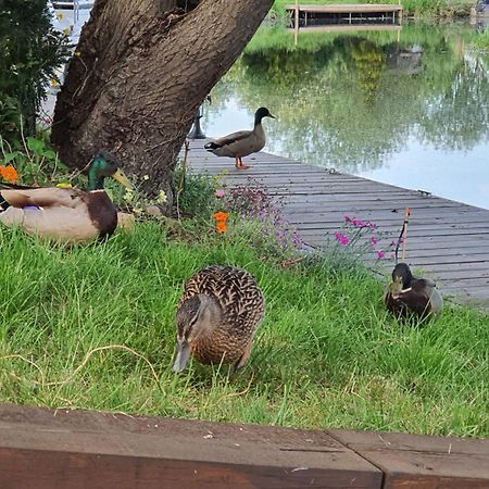 River Cottage Stoke Ferry 외부 사진