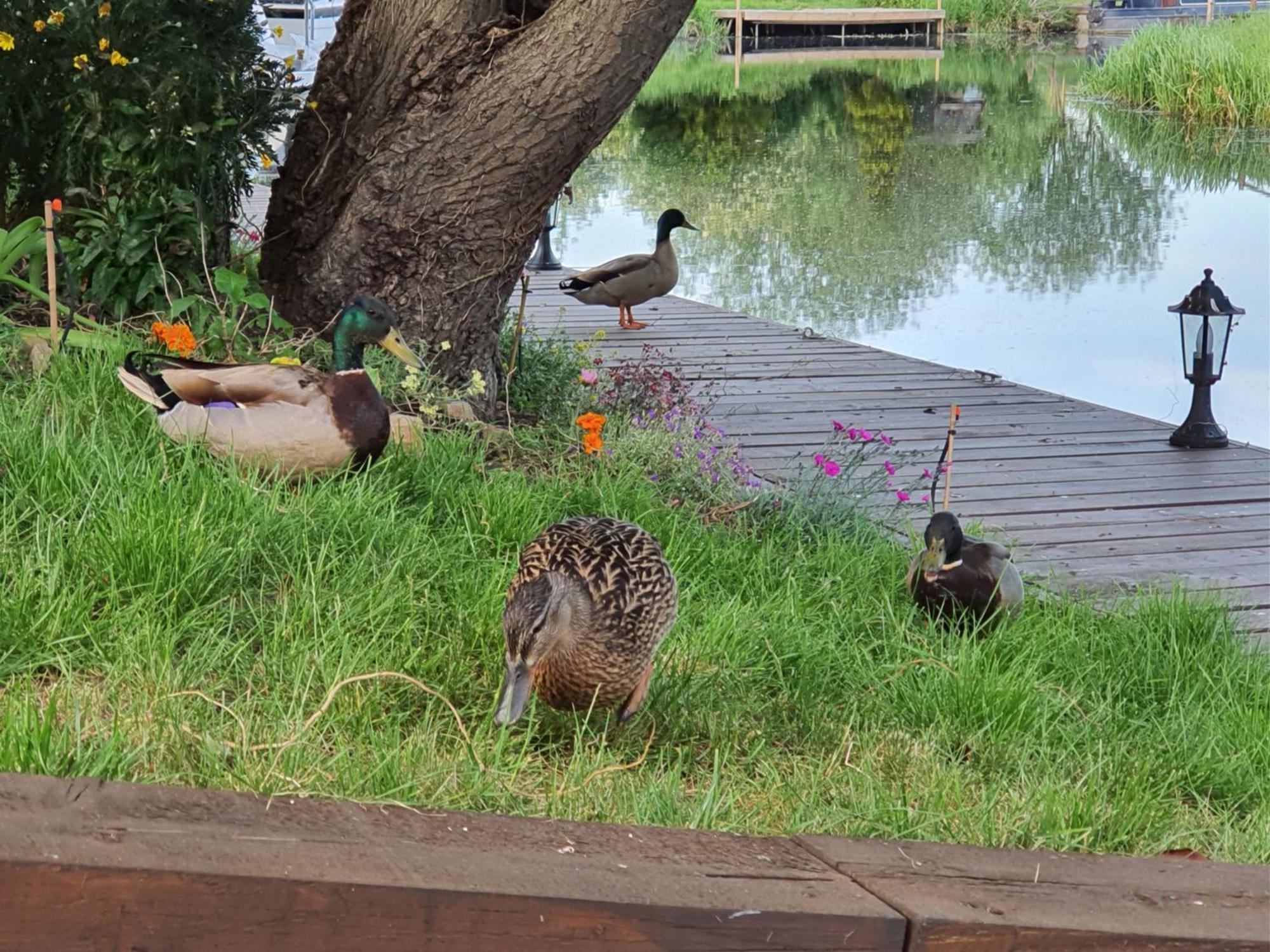 River Cottage Stoke Ferry 외부 사진