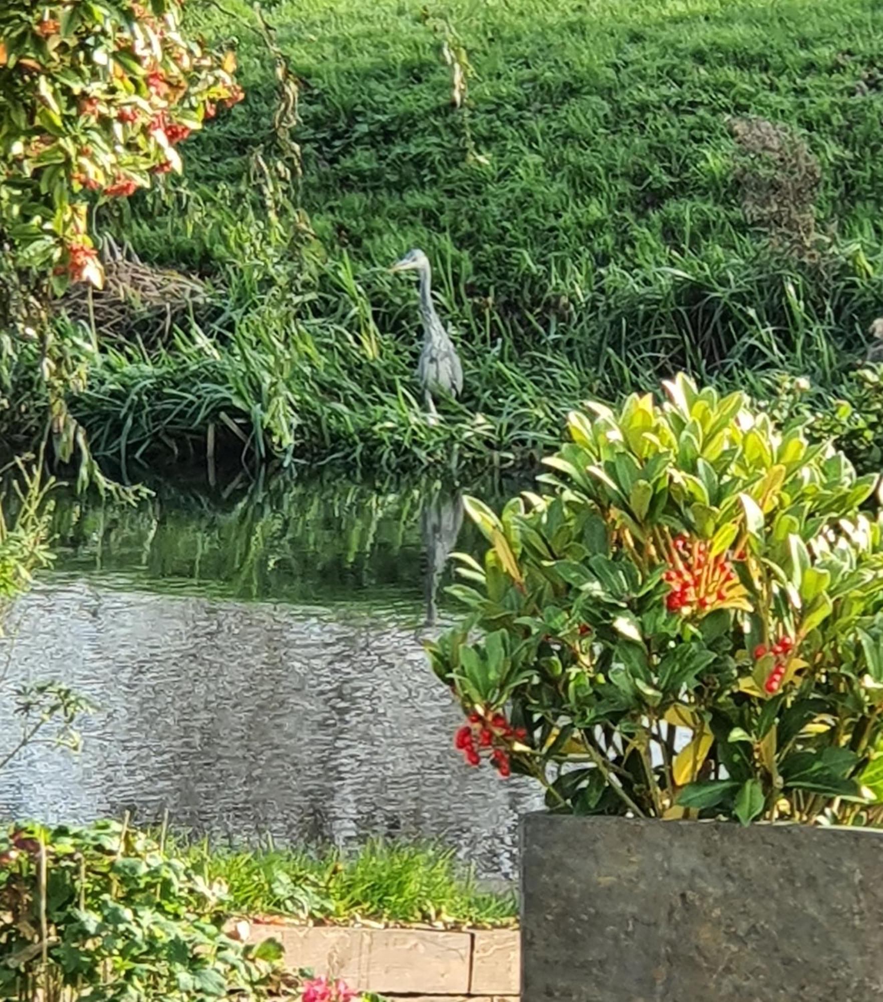River Cottage Stoke Ferry 외부 사진